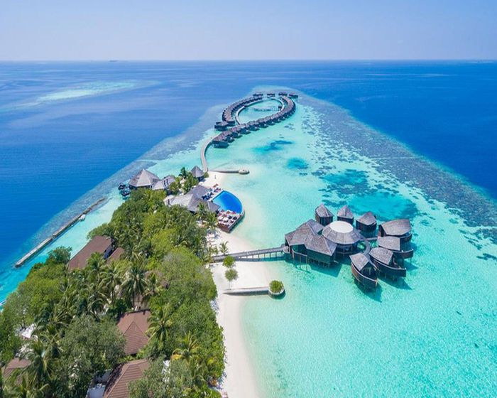 Поедем на Мальдивы. семейный отдых
