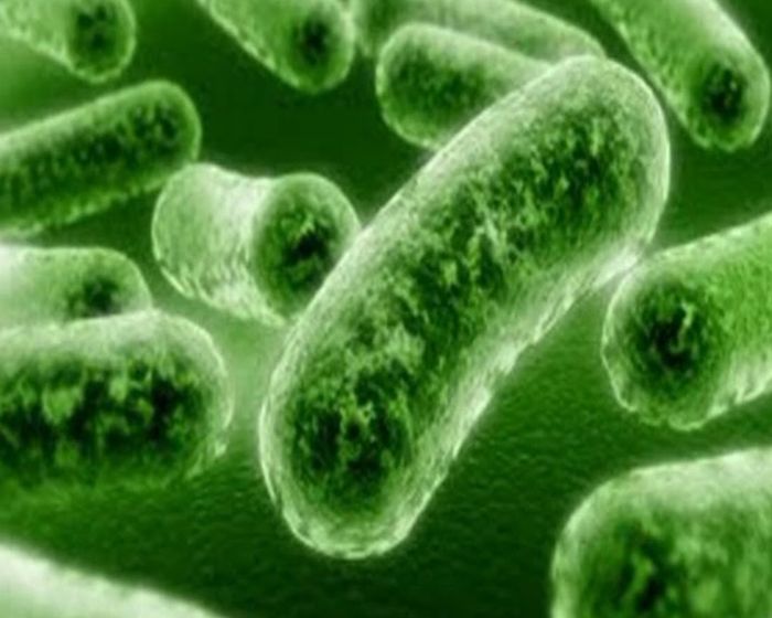 Пробиотики спешат на помощь, секреты здоровья